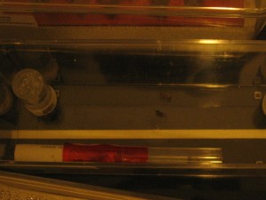IMG_0861.JPG