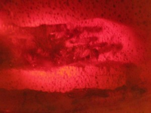 IMG_0967.JPG