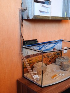 DSCN7888.JPG