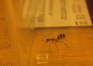 IMG_1134.JPG
