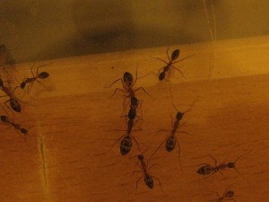 IMG_1139.JPG