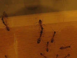 IMG_1140.JPG