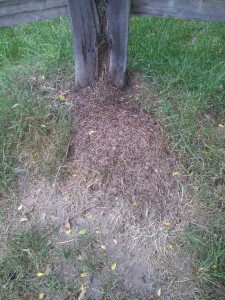 20160529_195148.jpg