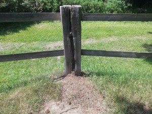 20160605_142348.jpg