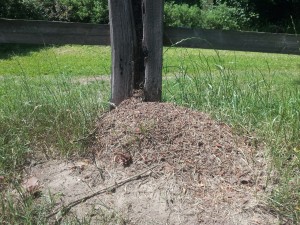 20160605_142353.jpg