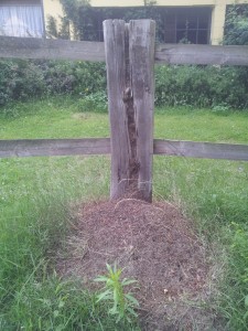 20160628_194204.jpg