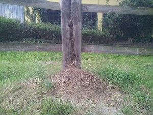 20160717_193408.jpg