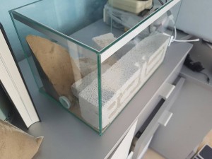 20170122_133807.jpg