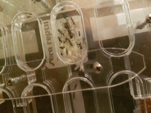 20170124_183940.jpg