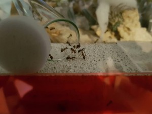 20170124_154251-3024x2268.jpg