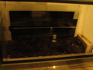 IMG_1285.JPG