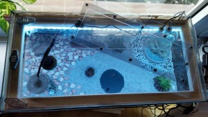 IMG-20170208-WA0001.jpg