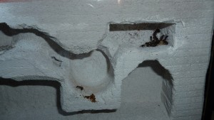 alte Kammer - 1 Arbeiterin