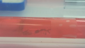 20170217_114712.jpg