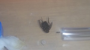 20170222_134308.jpg