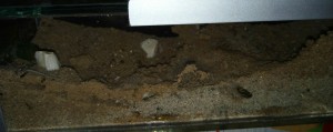 IMG_20170224_161527_694.jpg