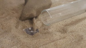 20170307_203746.jpg