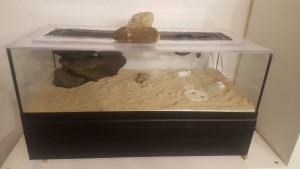 20170307_202558.jpg