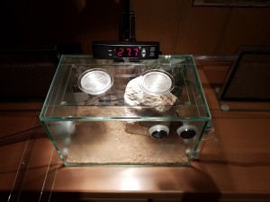 20170311_175051.jpg