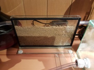 20170311_175054.jpg