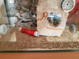20170317_122723.jpg