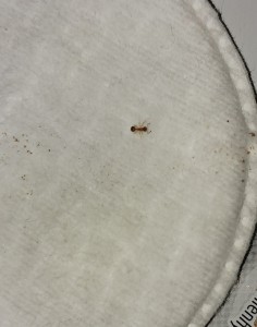 20170320_132949-1.jpg