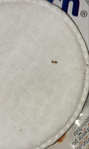 20170320_133006-1.jpg
