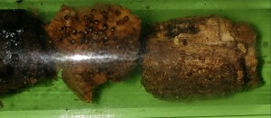 20170321_111759-1.jpg