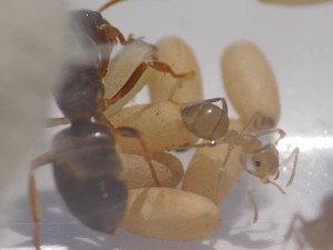 img0001.jpg