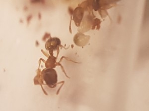 20170414_210547[1].jpg