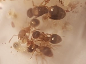 20170414_210628[1].jpg