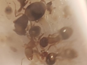 20170414_210725[1].jpg