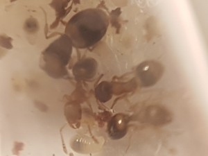 20170414_210731[1].jpg