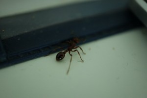 IMG_0759.JPG