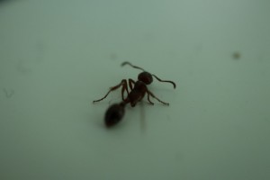 IMG_0761.JPG