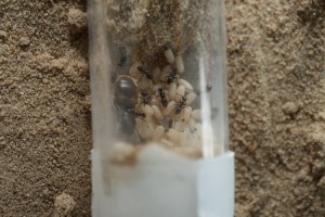 IMG_0788.JPG