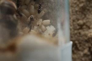 IMG_0794.JPG