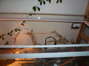 schmidti1.JPG (132.32 KiB) 5034 mal betrachtet Paraffinölrahmen