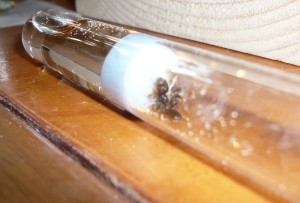 flavus1 (1).JPG (135.71 KiB) 5034 mal betrachtet Leider hab ich kein gutes Foto hinbekommen