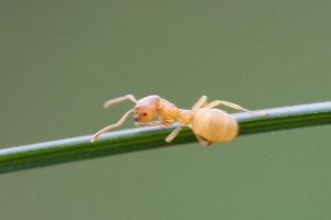 IMG_1718.JPG