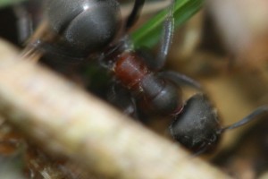 IMG_2266.JPG