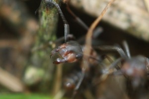 IMG_2279.JPG
