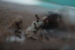 IMG_0944.JPG