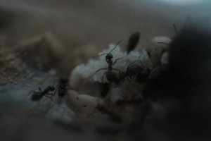 IMG_0945.JPG