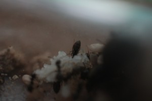 IMG_0946.JPG