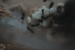 IMG_0947.JPG