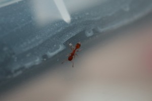 IMG_0924.JPG