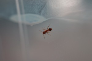 IMG_0936.JPG