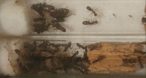20170505_221402-1.jpg