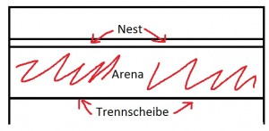 terra.jpg